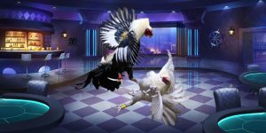 Đá Gà Thomo AE888 - Không Gian Giải Trí Đỉnh Cao, Hấp Dẫn